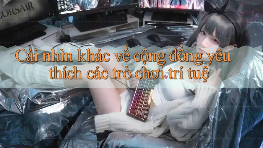 Cái nhìn khác về cộng đồng yêu thích các trò chơi trí tuệ
