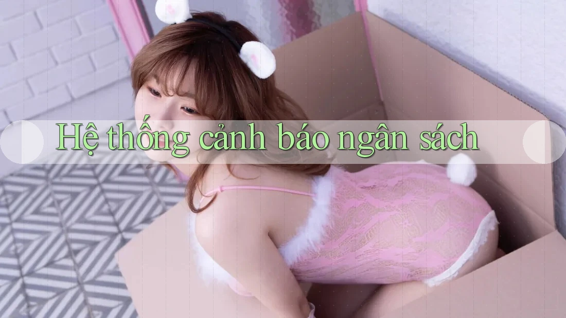 Hệ thống cảnh báo ngân sách