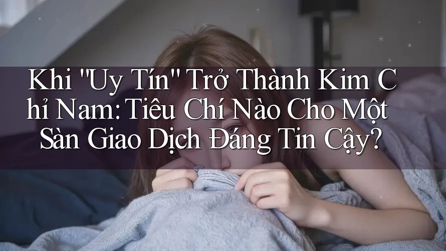 Khi “Uy Tín” Trở Thành Kim Chỉ Nam: Tiêu Chí Nào Cho Một Sàn Giao Dịch Đáng Tin Cậy?