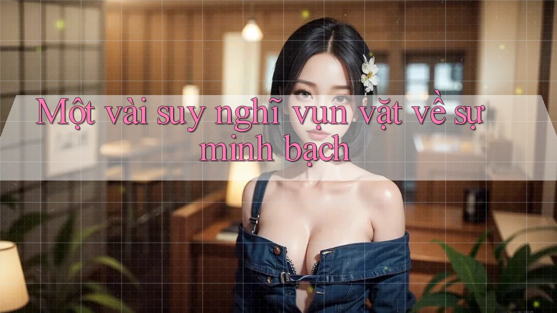 Một vài suy nghĩ vụn vặt về sự minh bạch