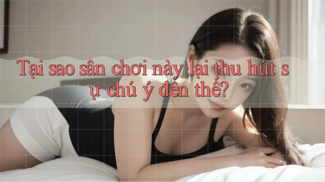 Tại sao sân chơi này lại thu hút sự chú ý đến thế? Tại sao sân chơi này lại thu hút sự chú ý đến thế?